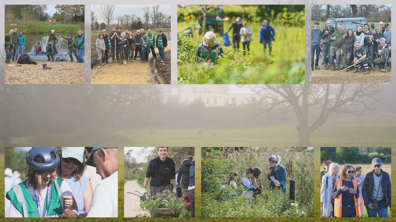 Volunteer at Knowle Park